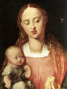 Albrecht Durer Madonna and Child with the Pear Germany oil painting artist